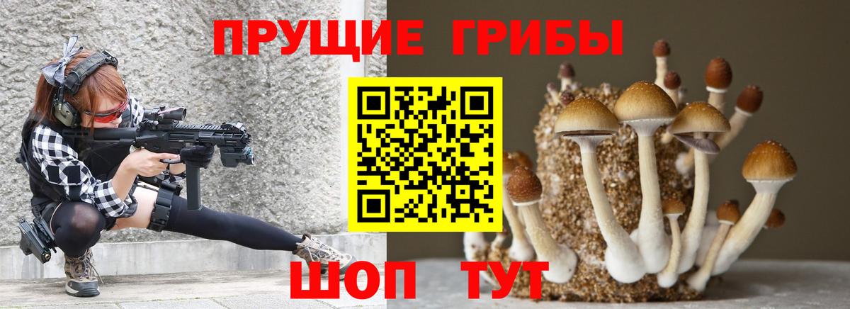 Галлюциногенные грибы Magic Shrooms  Галлюциногенные грибы ЛСД  Киселёвск  Вход с VPN 